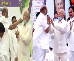 शरद पवार अन् सुशीलकुमार शिंदेंनी एकमेकांना भरवली द्राक्ष! किंग बेरी द्राक्ष वाणाचं पवारांच्या हस्ते लोकार्पण