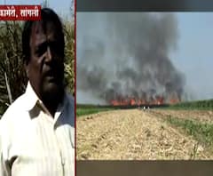 Sangli Fire at Sugarcane Field | सांगलीतील कामेरी गावात ऊसाच्या फडाला आग, शेतकरी काय म्हणाले?
