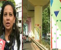 Nagpur flyover | नागपुरातील उड्डाणपूल वेधतोय सर्वांचे लक्ष! हस्तांकित संस्थेचा अनोखा उपक्रम