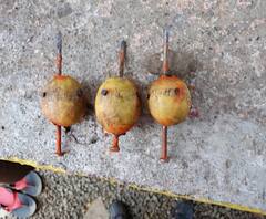 Pune News | पुण्यातील मावळमध्ये सरपंच, उपसरपंच निवडणुकीच्या तोंडावर जादूटोण्याचा प्रकार