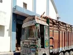 Banaskantha: પાલનપુરમાં સરકારી અનાજનો જથ્થો ગાયબ, ગોડાઉન મેનેજર સહિત બે સામે ફરિયાદ