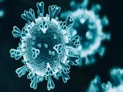 Ahmedabad માં કોરોનાના કેસમાં થયો વધારો, કોવિડ હોસ્પિટલમાં ફરી બેડ વધારાયા