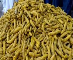 Turmeric Price | सांगलीत हळदीला सुवर्ण झळाळी, राजापुरी हळदीला प्रतिक्विंटल 30 हजारांचा भाव 