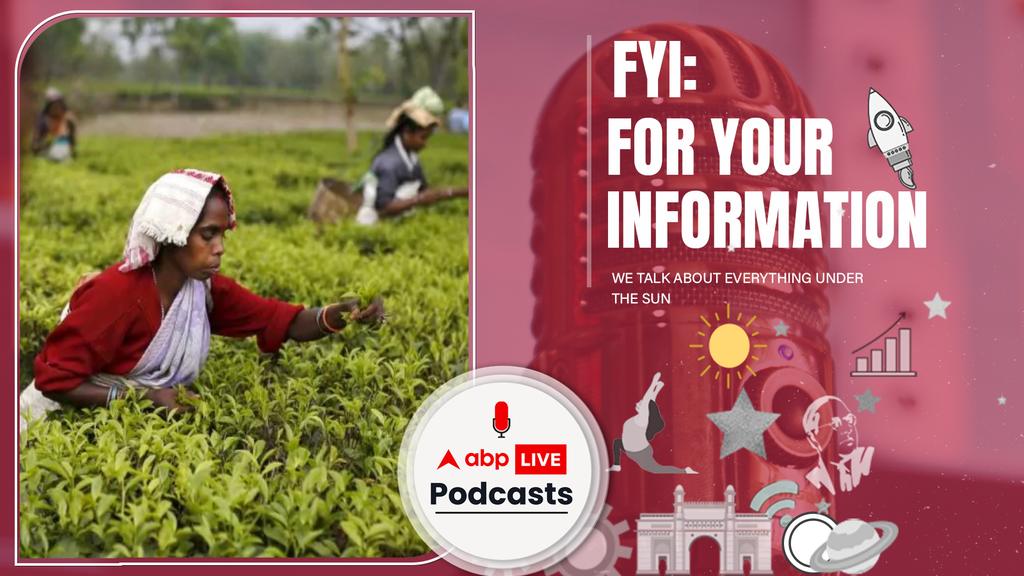 FYI | Assam Elections: आख़िर क्यों सरकारें रिझाना चाहती हैं असम के चाय-श्रमिकों को? Ep. 71