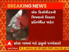 Ahmedabad ના સોલા ગામમાં બર્ડ ફ્લૂનો પગપેસારો, જુઓ વીડિયો