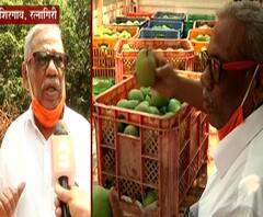  Hapus Mango | 'कोकणच्या राजा'वर संकटाची मालिका सुरुच; तीव्र उन्हाचा हापूस आंब्यावर परिणाम