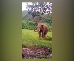 Rural News | गावागावातील बातम्यांचा वेगवान आढावा, तुमच्या गावात आज काय घडलं? माझं गाव माझा जिल्हा