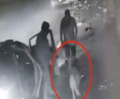 लग्जरी कार से आए युवकों ने चुराया कुत्ता, मालकिन पहुंच गई थाने | Kanpur 