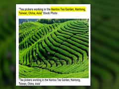 Assam Congress के चाय बागान वाले विज्ञापन पर विवाद,BJP ने कहा-'तस्वीर असम की नहीं बल्कि ताइवान की'