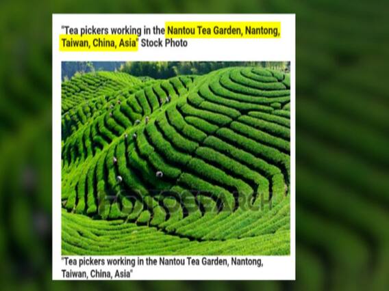 Assam Congress के चाय बागान वाले विज्ञापन पर विवाद,BJP ने कहा-'तस्वीर असम की नहीं बल्कि ताइवान की'