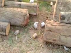 West Bengal : Nandigram में BJP कार्यकर्ता के घर पर बम से हमला, BJP ने TMC पर लगाया हमले का आरोप