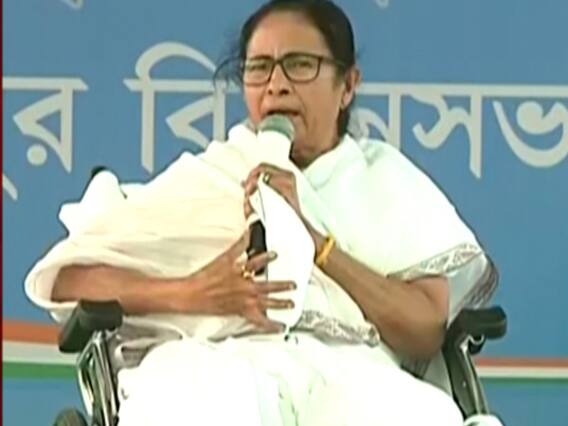 WB Elections: चुनाव में टूटी भाषा की मर्यादा, Mamata Banerjee और Dilip Ghosh के ये बयान सुनिए