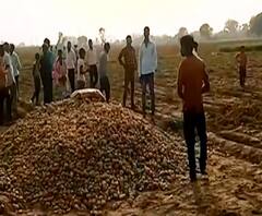 रोहिंग्या घुसपैठ पर बड़ा खुलासा, हत्थे चढ़े विकास दुबे के सात गुर्गे | High Alert | Full Show | ABP Ganga 