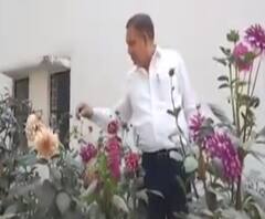 जहां लोग फेंक देते थे कूड़ा-कचरा, वहां बनाया खूबसूरत बगीचा | Raebareli 