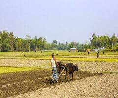 Lucknow: किसानों के टेंडर को लेकर बड़ी खबर! कृषि रक्षा रसायनों की खरीद के लिए जारी किए गए टेंडर रद्द