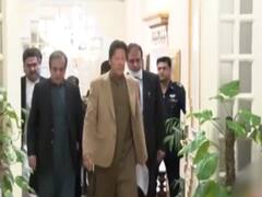 कभी इमरान खान की तारीफ करते नहीं थकता था यह पत्रकार, आज क्यों कर रहा है उनकी मुखालिफत?