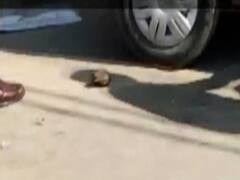 J&K में आतंकी साजिश नाकाम, कुपवाड़ा में पुलिस की गाड़ी पर आतंकियों का फेंका ग्रेनेड फटा नहीं