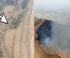 Special Report | वणवा कसा रोखणार? सगुणा रुरल संस्थेचं 'हे' तंत्र फायदेशीर