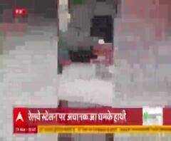 Haridwar: जब अचानक रेलवे स्टेशन पर आ गए हाथी, लोगों के उड़ गए होश! 