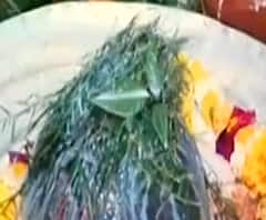 शिवनगरी में रंगभरी एकादशी तो Nandgaon में मची होली की धूम, देखिए ये खास रिपोर्ट। ABP Ganga