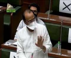 फडणवीस सरकारच्या काळात झालेल्या 33 कोटी वृक्ष लागवडीची चौकशी होणार