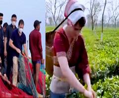 Special Report | राहुल गांधी आणि प्रियंका गांधी यांच्या प्रचाराच्या रंगीत छटा