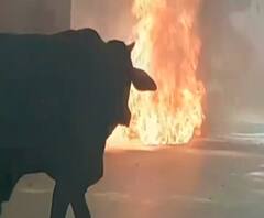 जौनपुर में अचानक फटा बिजली का ट्रांसफार्मर, मची अफरा-तफरी