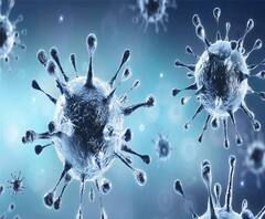 माध्यमिक शिक्षा निदेशालय के 15 अधिकारियों- कर्मचारियों को हुआ कोरोना, बिल्डिंग सील | Lucknow 