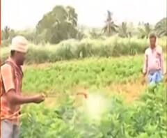 किसानों को सिंचाई के लिए बिजली देना अनिवार्य, High Court ने दिए ये निर्देश 