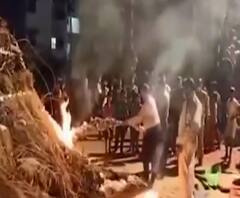 यूपी-उत्तराखंड के कोने-कोने से होली के जश्न की कुछ यूं तस्वीरें आईं सामने 