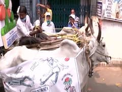 बैलगाड़ी से घूम-घूम प्रचार कर रहे TMC नेता जावेद खान,महंगाई के मुद्दे पर BJP को घेरा | WB Polls 2021