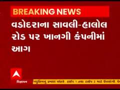 Vadodara ના સાવલી-હાલોલ રોડ પર ખાનગી કંપનીમાં લાગી આગ, જુઓ વીડિયો 