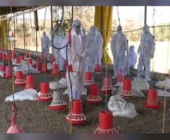 Rural News | गावागावातील बातम्यांचा वेगवान आढावा, तुमच्या गावात आज काय घडलं? माझं गाव माझा जिल्हा