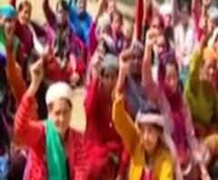 Uttarakhand में पेड़ों से चिपकी महिलाएं , सड़क के लिए पेड़ काटने का किया विरोध 