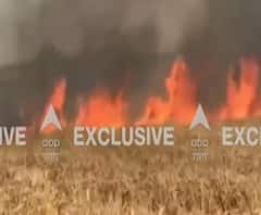 गेहूं की खड़ी फसल जलकर राख