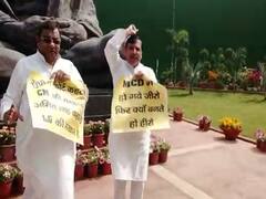 दिल्ली का 'बॉस' कौन? AAP सांसद Sanjay Singh का संसद के बाहर विरोध प्रदर्शन 