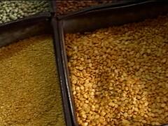 महंगाई के मोर्चे पर सरकार को दोहरा झटका! जनवरी में इस वजह से घटा औद्योगिक उत्पादन