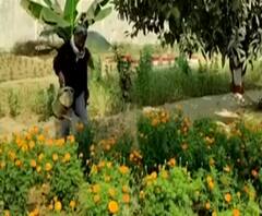 कैदियों ने किया ऐसा काम, बदल गई महाराजगंज जिला कारागार की सूरत | Satte Pe Satta 