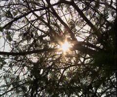 TOP 50 | सकाळच्या 50 महत्त्वाच्या बातम्यांचा वेगवान आढावा | बातम्यांचं अर्धशतक | 03 मार्च 2021