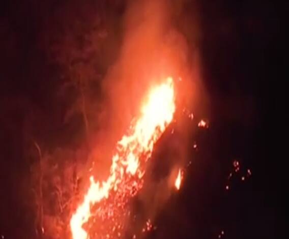 गर्मी शुरू होते है झुलसने लगे Uttarakhand के जंगल, बेजुबानों पर आई आफत 