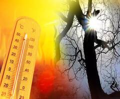 गर्मी से छूटे लोगों के पसीने, चिलचिलाती धूप ने किया बुरा हाल | Kanpur | Ground Report 