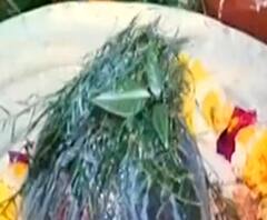 काशी में होली की शुरुआत, आज मनाई जाएगी रंगभरी एकादशी | 8 Ki Baat | ABP Ganga