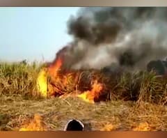 ऊस जाळण्यावरून सत्ताधारी-विरोधक राजकारण? शेतकऱ्यानं ऊस जाळणं स्टंट, कारखाना व्यवस्थापनाची भूमिका