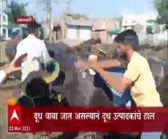 दुधाची मागणी घटली, अमरावतीत म्हशीलाच घातली दुधाने अंघोळ, दुध उत्पादकांचे हाल