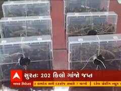 Surat: પુરી-અમદાવાદ ટ્રેનમાંથી 202 કિલો ગાંજા સાથે ચારની ધરપકડ