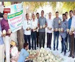 खरबूज पिकवून कोट्यवधी कमावले, 70 दिवसात पाच कोटींची कमाई, यशस्वी शेतीचा 'खान्देश फॉर्म्युला'