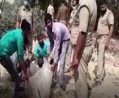 यूपी में कच्ची शराब को ढूंढ-ढूंढकर किया जा रहा नष्ट | UP Illegal Liquor 