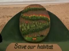 Odisha के Similipal में लगी आग पर एक हफ्ते बाद भी नहीं पाया जा सका है काबू, देखिये तस्वीरें