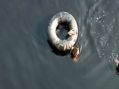 Antillia Case: खुल रही है साजिश की परतें, Sachin Vaze के खिलाफ NIA को मिले और सबूत