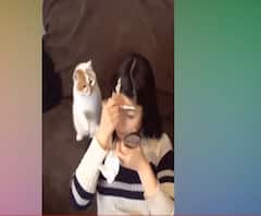 बिल्ली ने किया लड़की की नाक में दम | Viral Video 